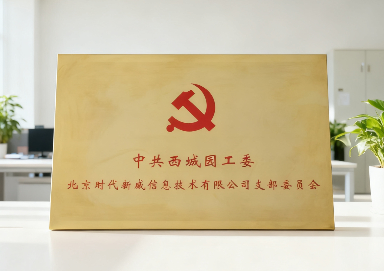 北京时代新威信息技术有限公司党支部正式成立